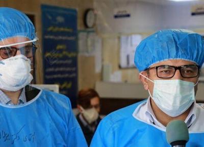 خبرنگاران شمار بیماران کرونایی در استان بوشهر ثابت ماند