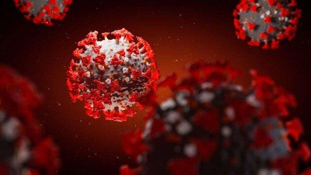 2 کرونایی در چهارمین تست اعضای تیم صنعت نفت آبادان 2 کرونایی در چهارمین تست اعضای تیم صنعت نفت آبادان