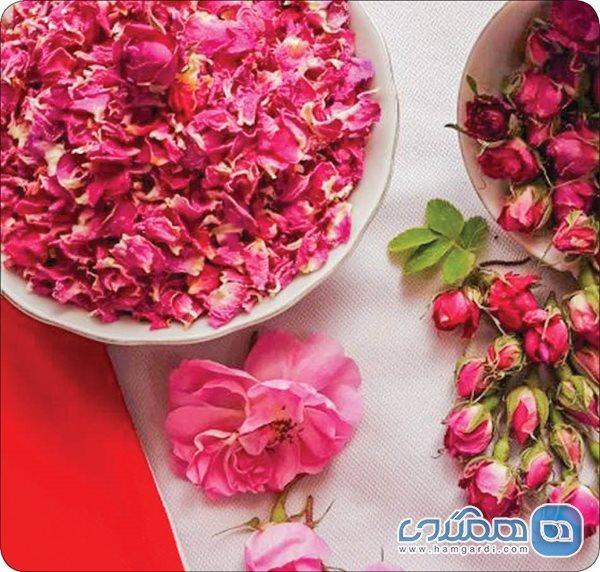 خواص گل محمدی و روش های استفاده از آن