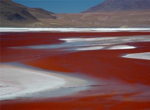 5 دریاچه رنگی دنیا را بشناسید