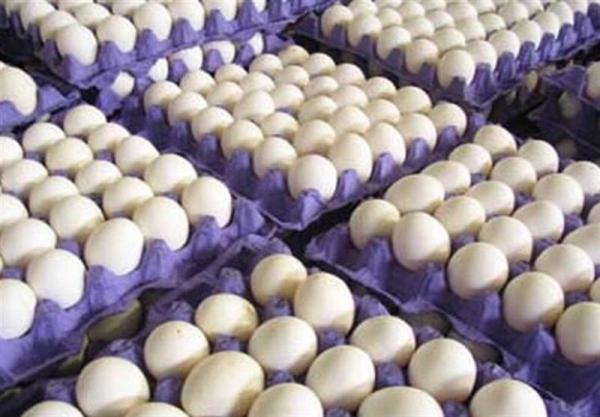 قیمت هر شانه 30 عددی تخم مرغ در میادین و بازار ، اعلام قیمت نو تا هفته آینده