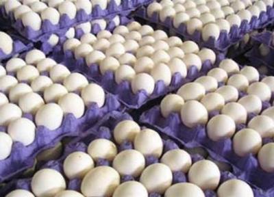 قیمت هر شانه 30 عددی تخم مرغ در میادین و بازار ، اعلام قیمت نو تا هفته آینده